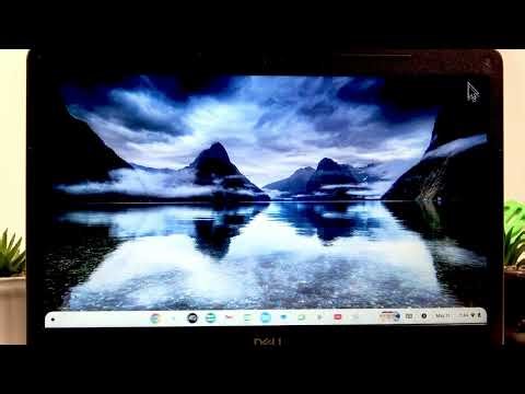 Dell Chromebook 3400 – How to Make It Faster
