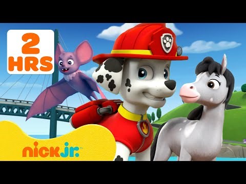 PAW Patrol Animal Rescue Missions in Adventure Bay! #3 🐻‍❄️🦉 | 120 Minutes | Nick Jr.
