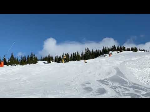 Level 3/4 Telemark carved turn