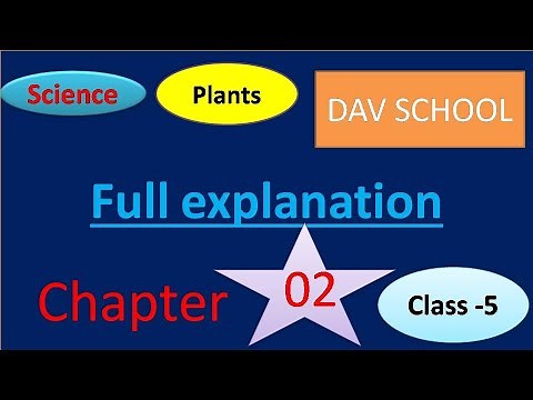 Chapter 2 Plants Class 5 DAV SST Science full explanation