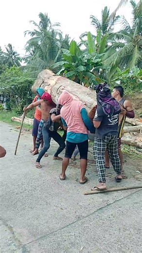 langsir kayu super besar #automobile #asmrvideo #woodworking #chainsaw