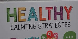 Ava, Mo., school administrators see success with on-campus therapy program