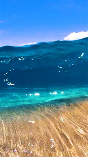 Crystal clear ocean wave in Hawaii #ocean #oceanwaves #clearwater #oceanlife #reels | Dgphotography