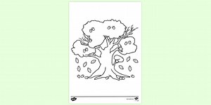 Oak Tree Colouring Sheet
