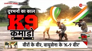 The alertness of patriotic 'K9' commando dogs of Indian Air Force will blow your mind #K9Dogs #IndianAirForce #IAF #Dogs | Zee News English