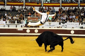 Course landaise : deux champions de France dans les arènes du Pesqué à Orthez