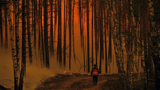 The shifting jet stream has magnified wildfires and plagues. What’s next?