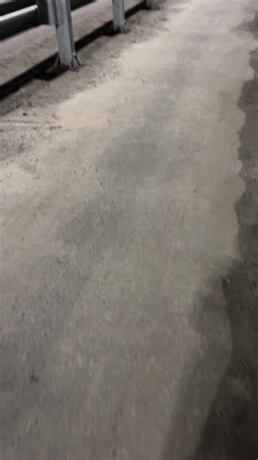 урсу (@ffffe.lx)’s videos with som original - ☆