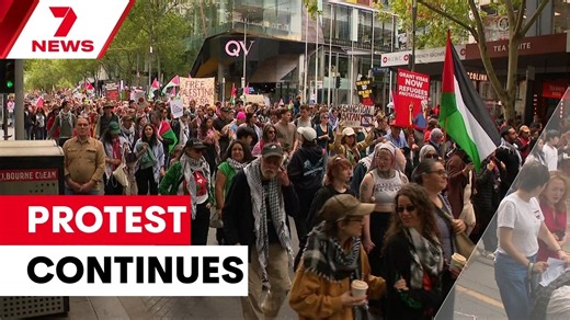 18K views · 262 reactions | The war in the Middle East might be over but pro-Palestine activists are continuing their weekly Sunday rallies in the city. Rogue senator Lidia Thorpe stirred emotions this afternoon, even threatening to burn Parliament House down to make a point. Download the 7NEWS app: 7news.link/7newsapp #7NEWS | 7NEWS Melbourne | Facebook