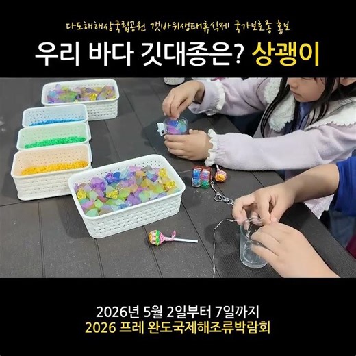 (완도) 완도 바다 깃대종 상괭이 보호 체험 #프레완도국제해조류박람회 #상괭이 #다도해해상국립공원