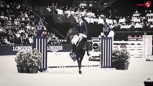 The legendary Codex One will join Studfarm Zangersheide to start his career as a breeding stallion. | Zangersheide