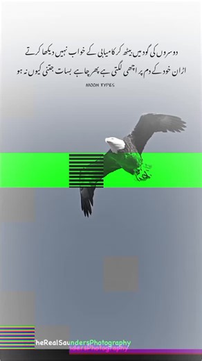 ☆° 𝙈𝙊𝙊𝙉 °☆ on Instagram: "#moon_types"