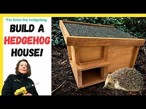 Easy! DIY hedgehog house for nesting and hibernation