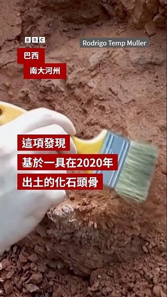 科學家發現距今2.3億年跨越「盤古大陸」爬行動物－ BBC News 中文