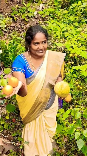 மரம் முழுவதும் ஆரஞ்சு பழம் #garden #orange #fruit #naturelovers #villagelife #nature #kodaikanal