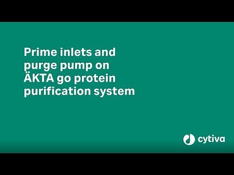 Perform pump wash, prime and purge pump on ÄKTA™ go protein purification system