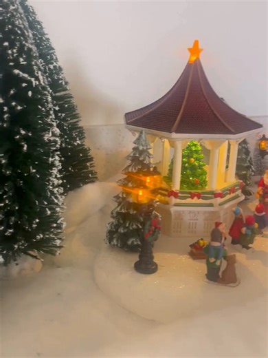 Merry Christmas from our Arnold's family to yours! 🎄✨ Our little village is all set up in the office, and we're feeling the holiday spirit. Wishing you and your loved ones a wonderful holiday season! #fyp #viral #trending #teamarnolds #portablerestrooms #portapotty #merrychristmas #Christmas