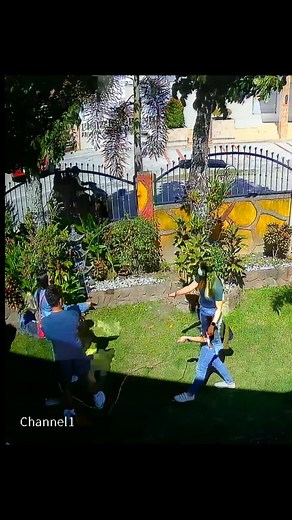 Outdoor Hose Activities with Friends