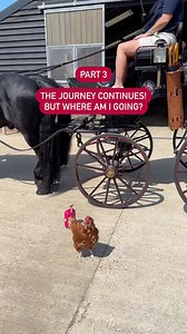 6.6K views · 119 reactions | We’re almost there! Who is our lovely...