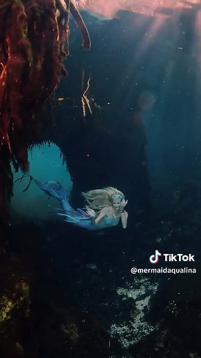 Unveiling the Mystical World: Mermaids, Fairies, and Magical Creatures