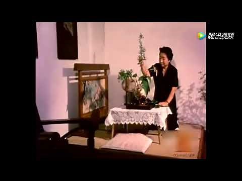 爱新觉罗·溥杰和日本妻子嵯峨浩 在北京的晚年生活 听听溥傑的北京话【珍贵视频】