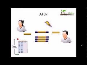 AFLP