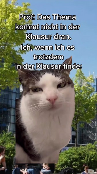 Die größte Lüge im Studium... #Meme #MemeCut #CapCut