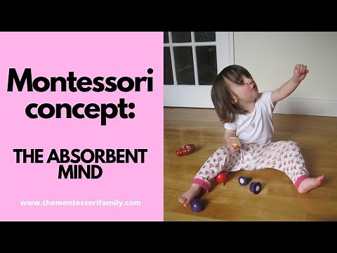 Montessori concept: What is the absorbent mind?