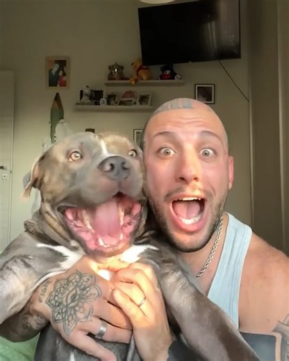 Dog imitates his owner perfectly 😂 | Creative Bee