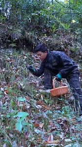 589K views · 7.6K reactions | My hair has been falling out a lot lately, so I’ll try my own shampoo | Organic Culture | Facebook