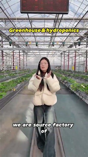 🌿 Smart Greenhouses + Hydroponic Farming = The Future of Sustainable Agriculture!