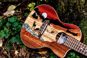 28 reactions | New for 2020 Vista ukuleles have taken the uke market by storm! Read Ukulele Magazine's review on the Uke Vista Deer Concert & watch it in action with different playing styles! Read: https://bit.ly/UkeMag_VistaDeerUke_Review | Luna Guitars | Facebook