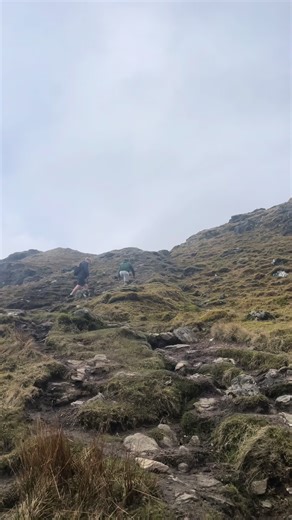 Peter Holmes on TikTok