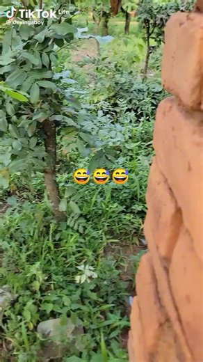 COOKER repair FRIDGE etc (@cookerrepairnairobi254)’s videos with original sound - COOKER repair FRIDGE etc