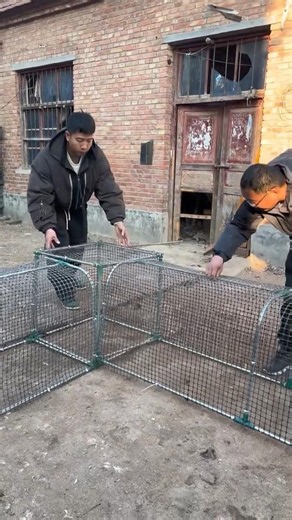The Ultimate Space-Saving Tunnel Chicken Coop | Easy Poultry Run