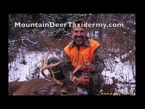 Deer Hunting in New England: TRACKING TIPS & TRICKS!