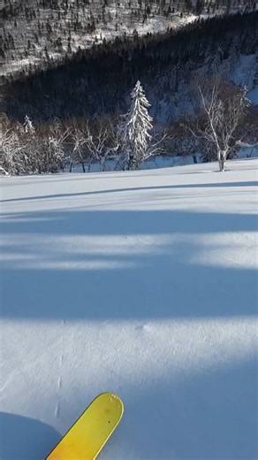 谷口 博喜 on Instagram: "道北ツアー #powder #telemark"