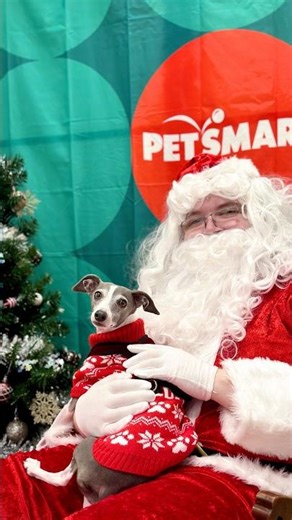Santa’s back at PetSmart! 🎅 Visit your local store Dec. 13 & 14 from 2-5pm for a FREE Santa photo.