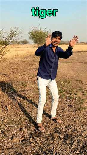 tiger attack#comedy#pramod dada#anand hindustani#gavchi #funny #viral #trending