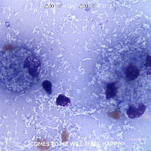 #Mycobacteria#分枝杆菌
