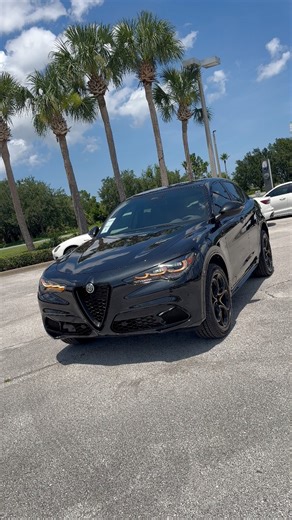 How beautiful is the Vulcano Black Alfa Romeo Stelvio INTENSA 😍🖤 #alfaromeo #stelvio #suvs #italiancars #blackcar | Rons Rides