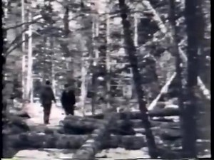 266K views · 734 reactions | a cool video of logging in 1930, notice the stiff poles on the sleighs | Neil Dimmock | Facebook