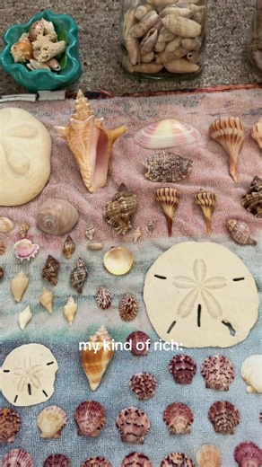 Mermaid Money: Seashells and Shark Teeth Treasures