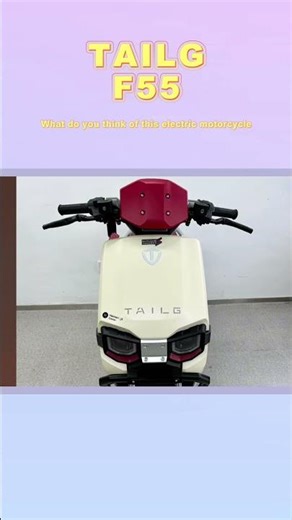 F55 — Check Out This Classic Electric Motorcycle ⚡