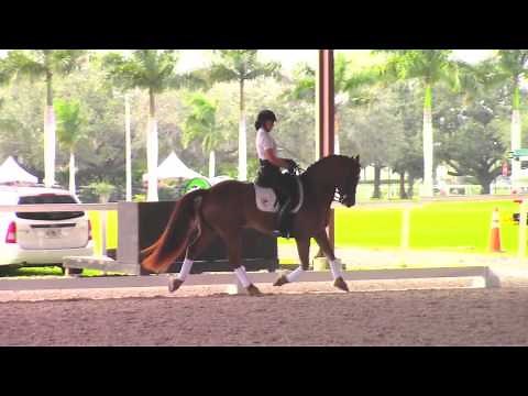 Debbie McDonald: How to Create Suspension in The Trot in Dressage