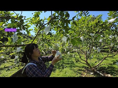 The Turning Point: How One Moment Can Transform Your Entire Life