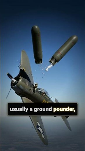 The Impossible Dogfight: Propeller Plane vs. Nazi Jet Ace #militaryfacts #history #alliedforces