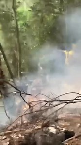 VIDEO: GAF Helicopter Crash – Emerge from Site. Scenes from the crash site of Ghana Armed Forces Z-9 helicopter that reportedly went ‘off radar’ en route to Obuasi on Wednesday morning, August 6. | NPP Projects Bureau