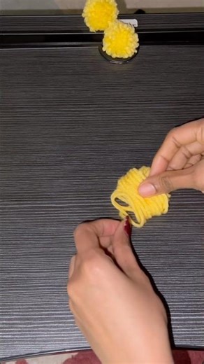 Pom Pom #cat #funnycats #crafts #diy