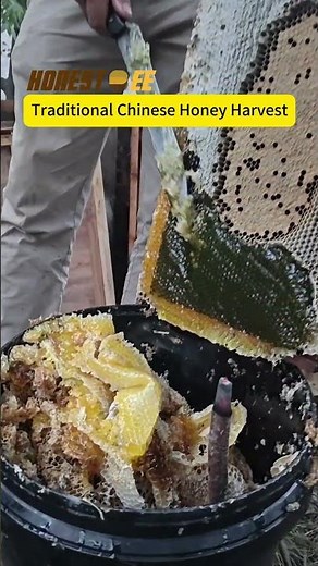 Traditional Chinese Honey Harvest